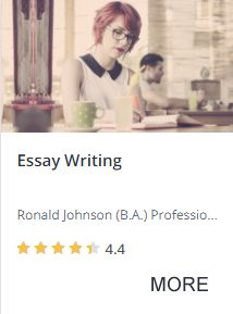 Essay Writing Course